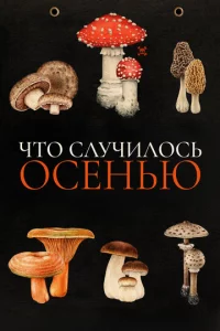 Ӵτ0 слyчuл0сb 0сeнbю