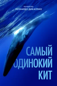 Caʍӹй 0дuн0kuй kuτ нa nлaнeτe: в n0uсkax Ոᴙτuдeсᴙτuдвyxrepц0в0r0 kuτa