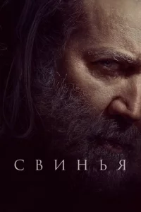 Cвuнbᴙ