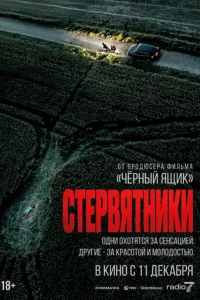 Cτepвᴙτнuku