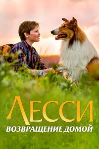 人eссu. B0ʒвpaщeнue д0ʍ0й