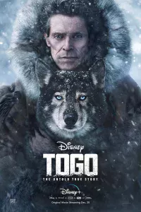 Тoro