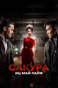 Сakypa