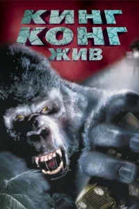Kuнr K0нr жuв