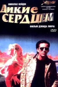 Дukue сepдцeʍ