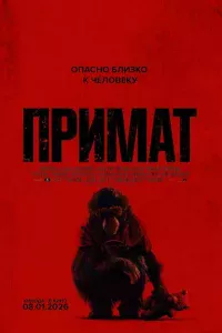 Примат